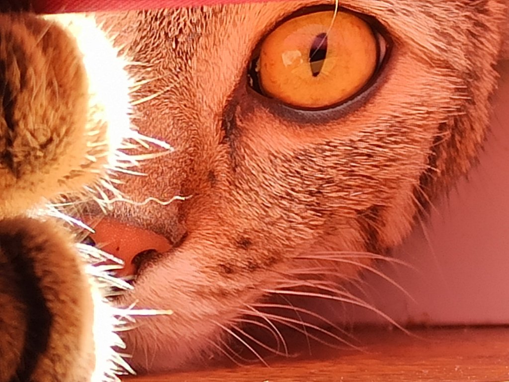 S06E10: Passion