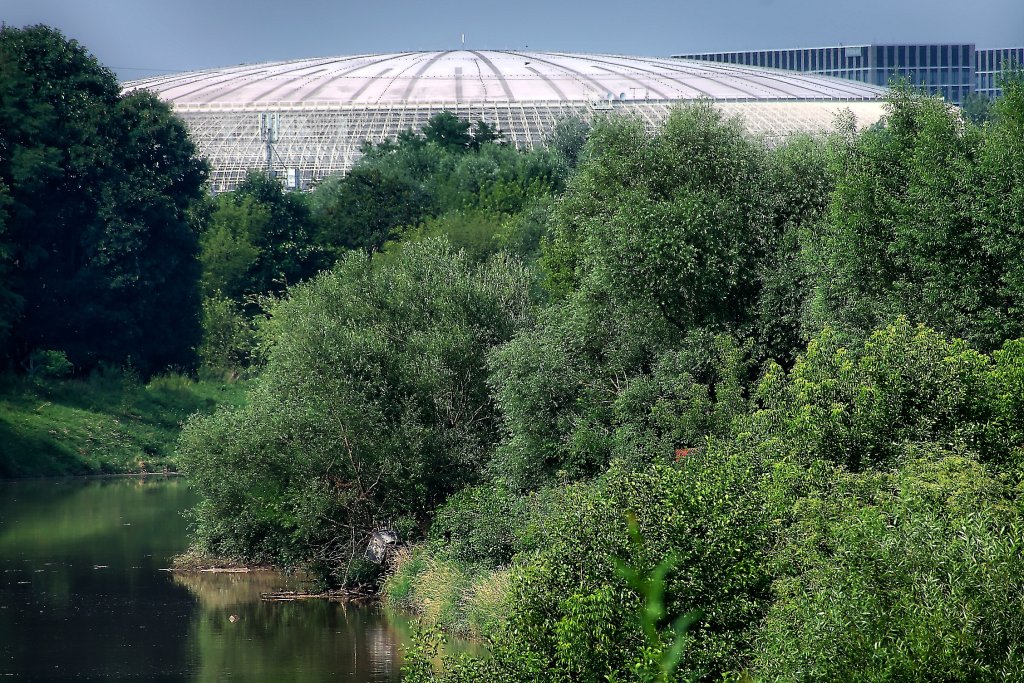 Spodek wyldowa