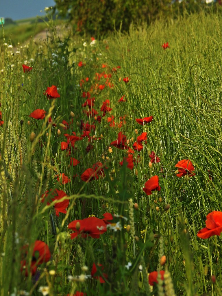 1800.