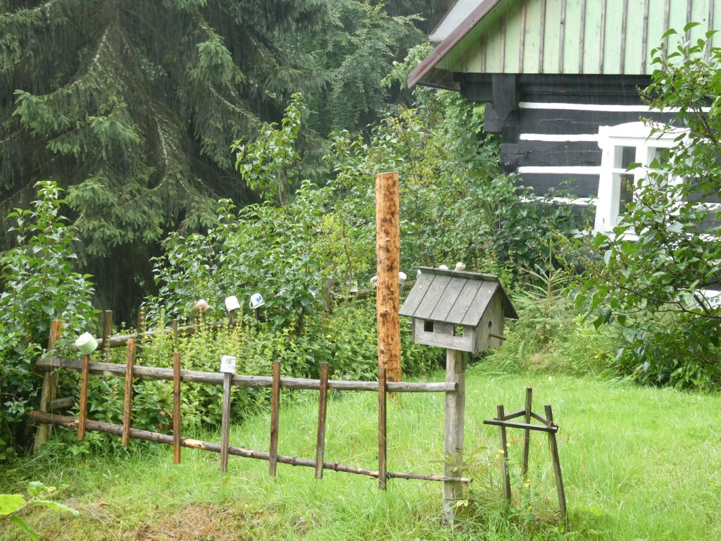 Gdzie