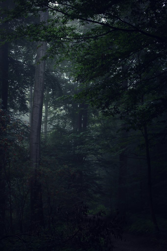 Foggy... Insp. 