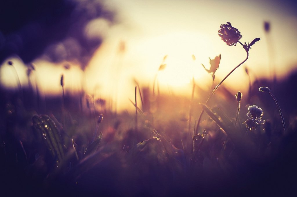 Sunset... Insp. 