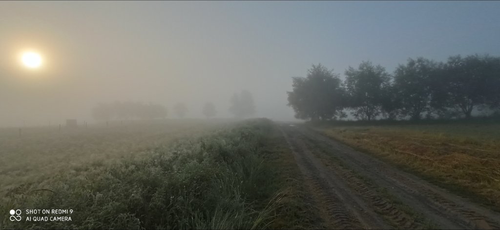 Zawsze wyjdzie soce