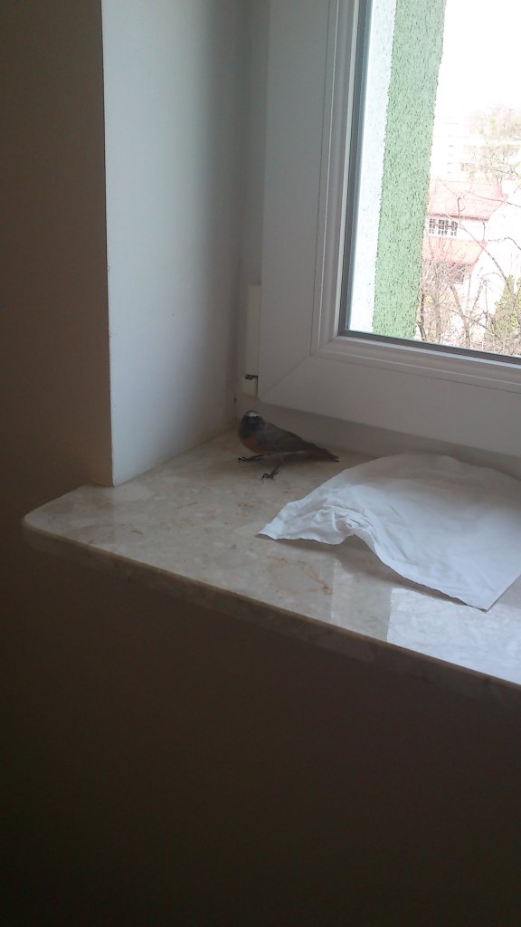 Czas i spa ;)