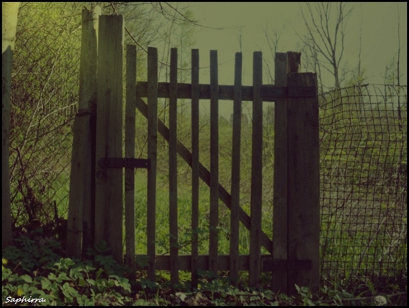 1123.