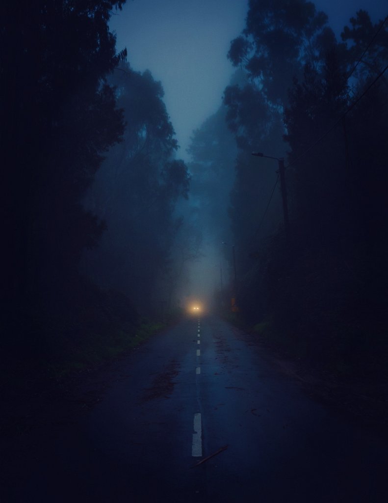 Mood... Dark... Trip...