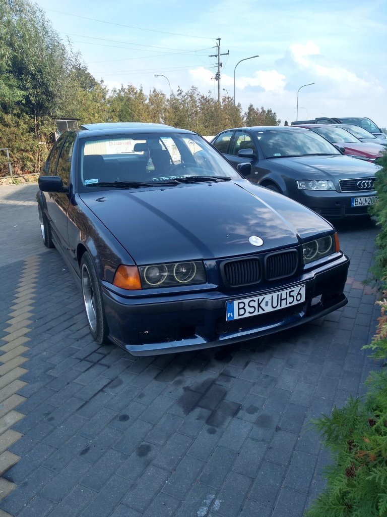 Bb