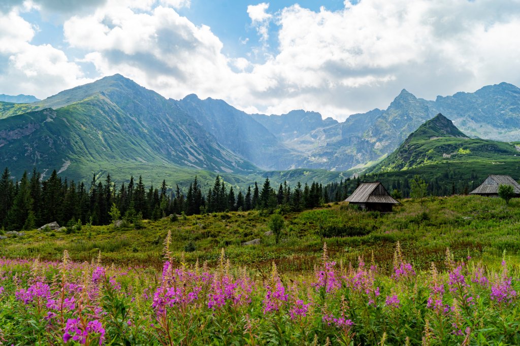 Tatry