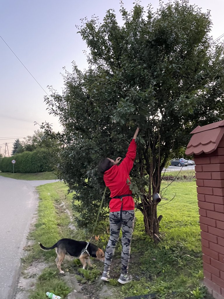 szabry z boguka