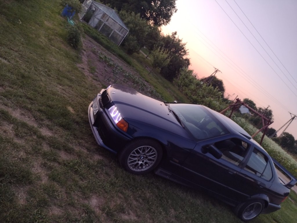 Bb