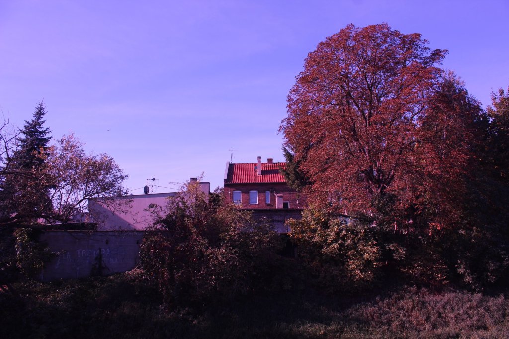 Tczew - Okolice ulicy Wierzbowej