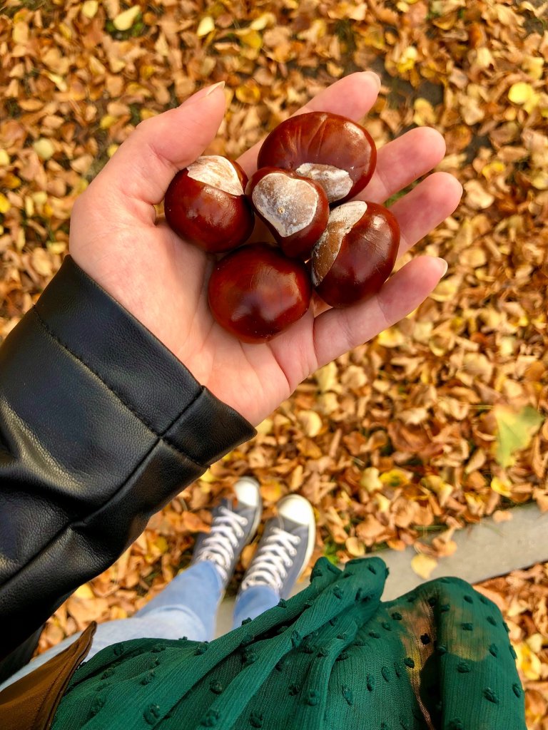 Zota jesien &#129505;