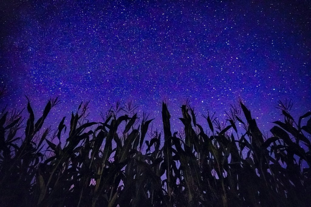 Stars... Insp.