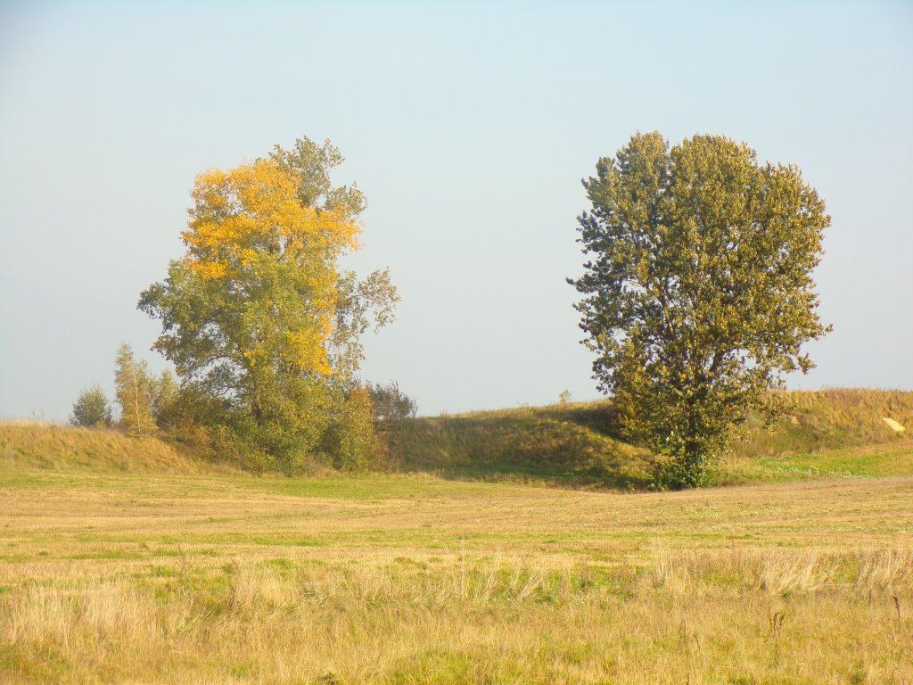 Padziernikowo.