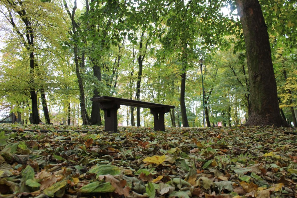 Tczew - Park Miejski