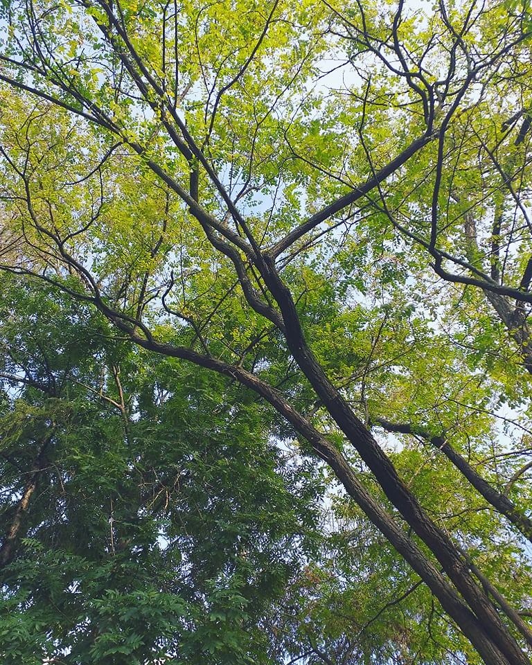 1132.