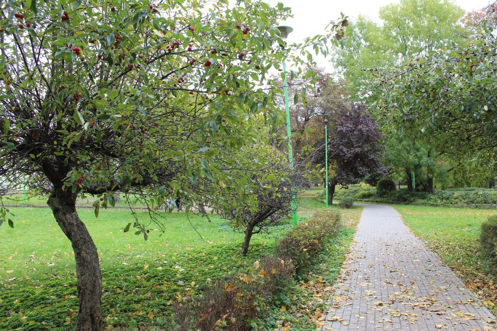 Tczew - Park Kopernika