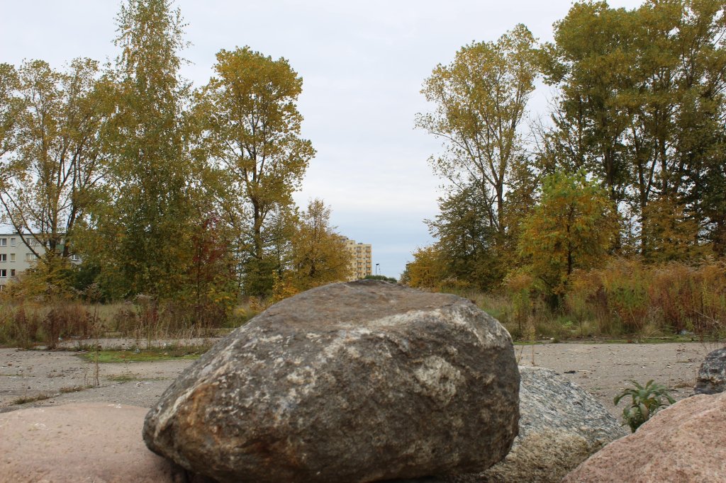 Tczew