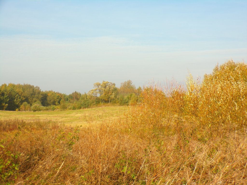 Padziernik.
