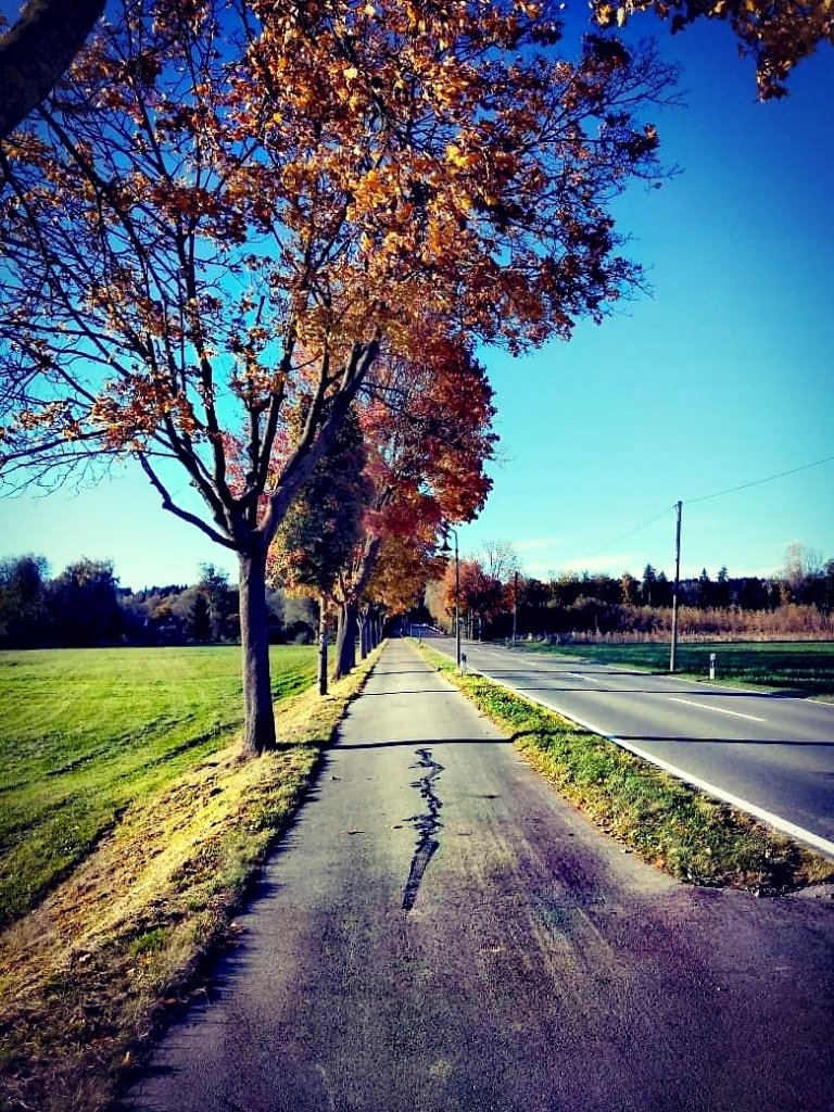 Autumn :)