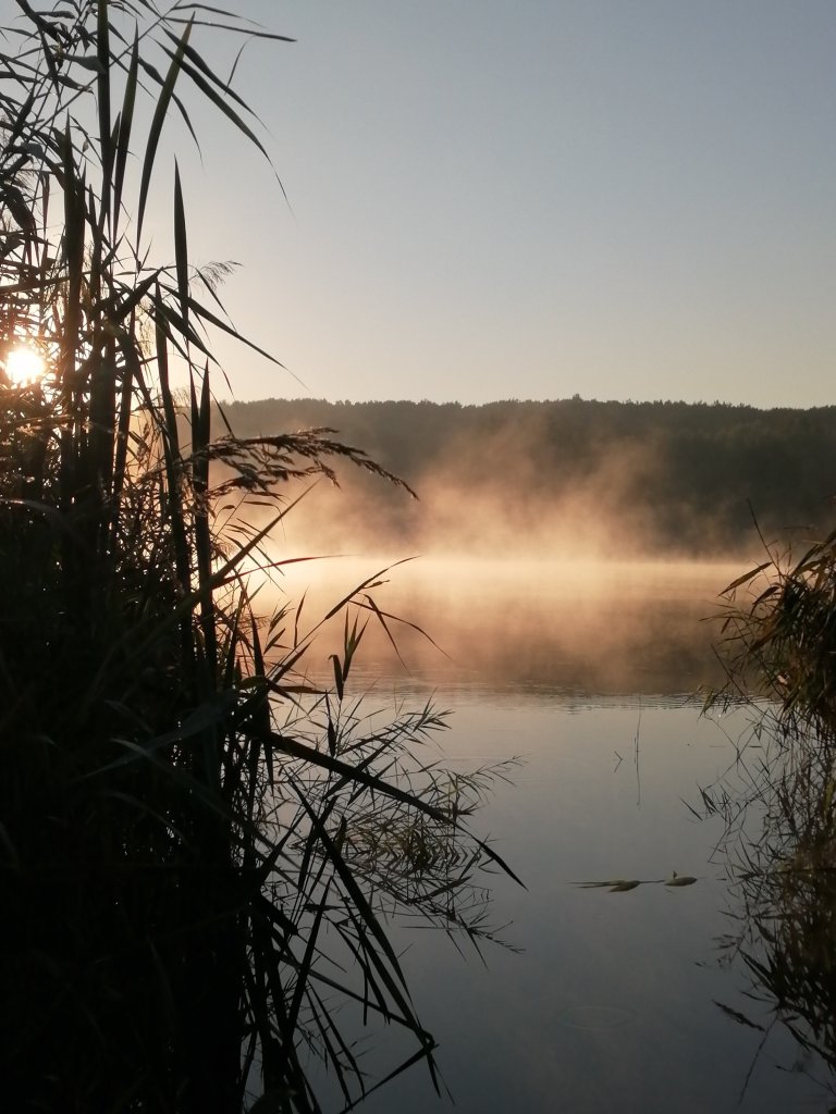 Staw w dzielnicy Meksyk, Rybnik