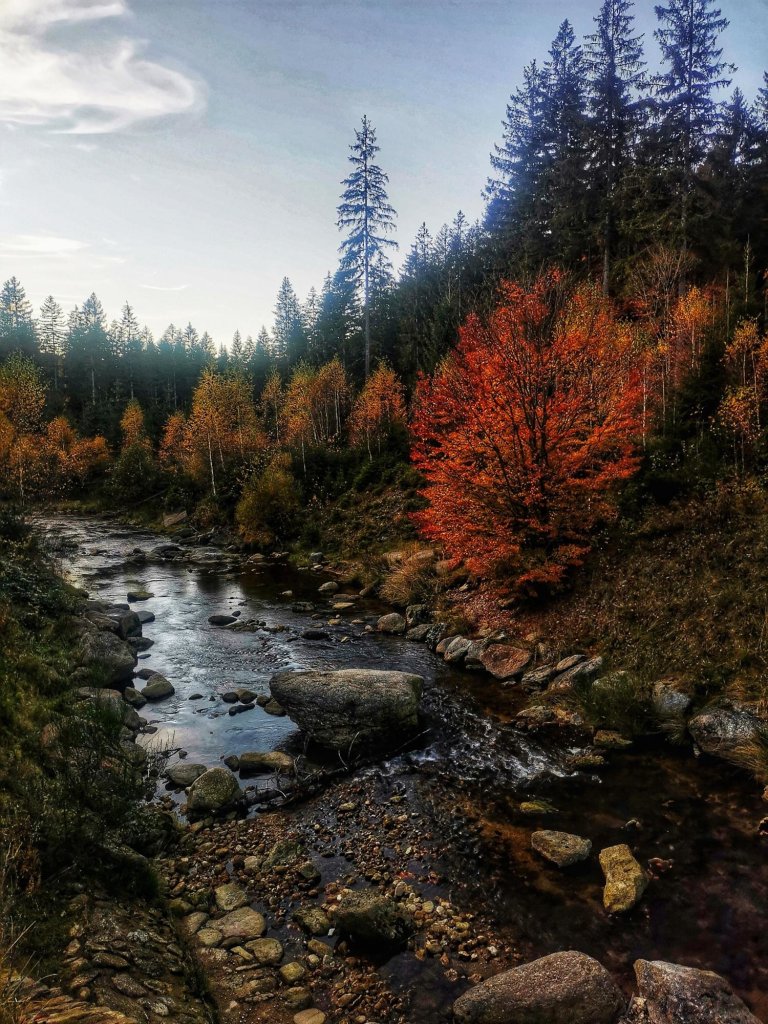 Cie przypadku. 