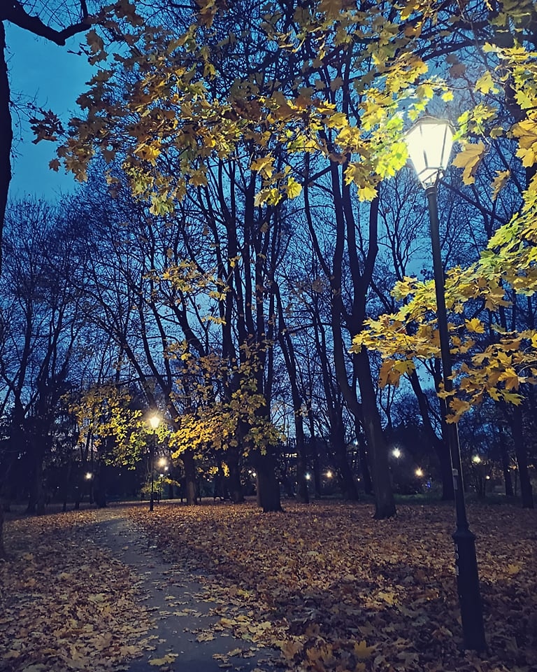 1138. 