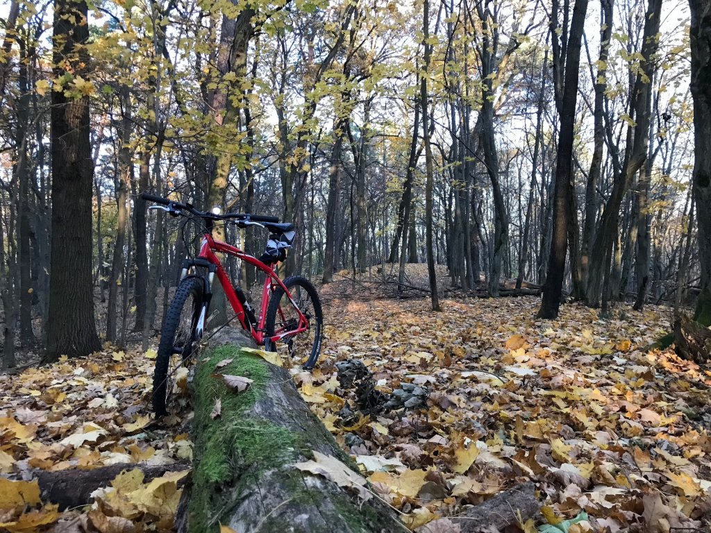 Kampinos
