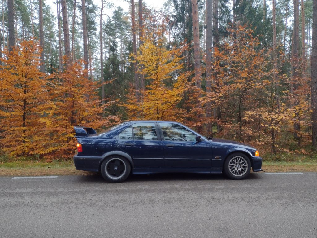 Bb