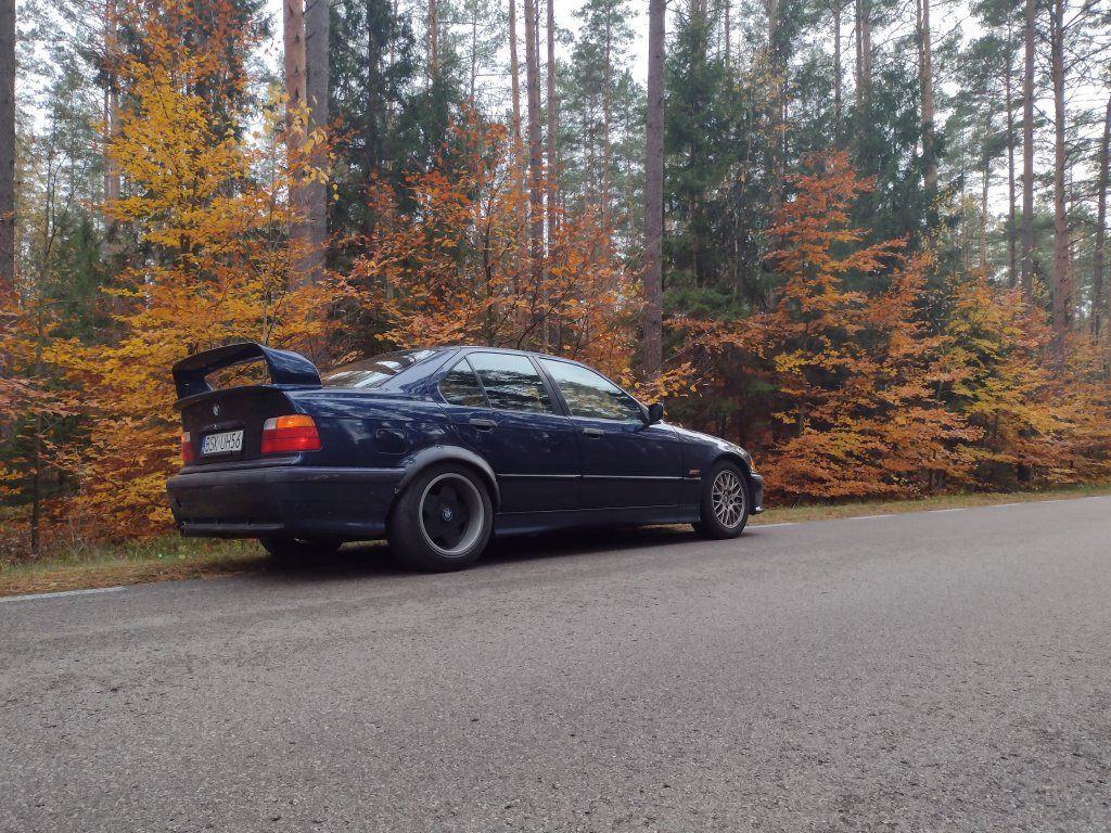 Bb