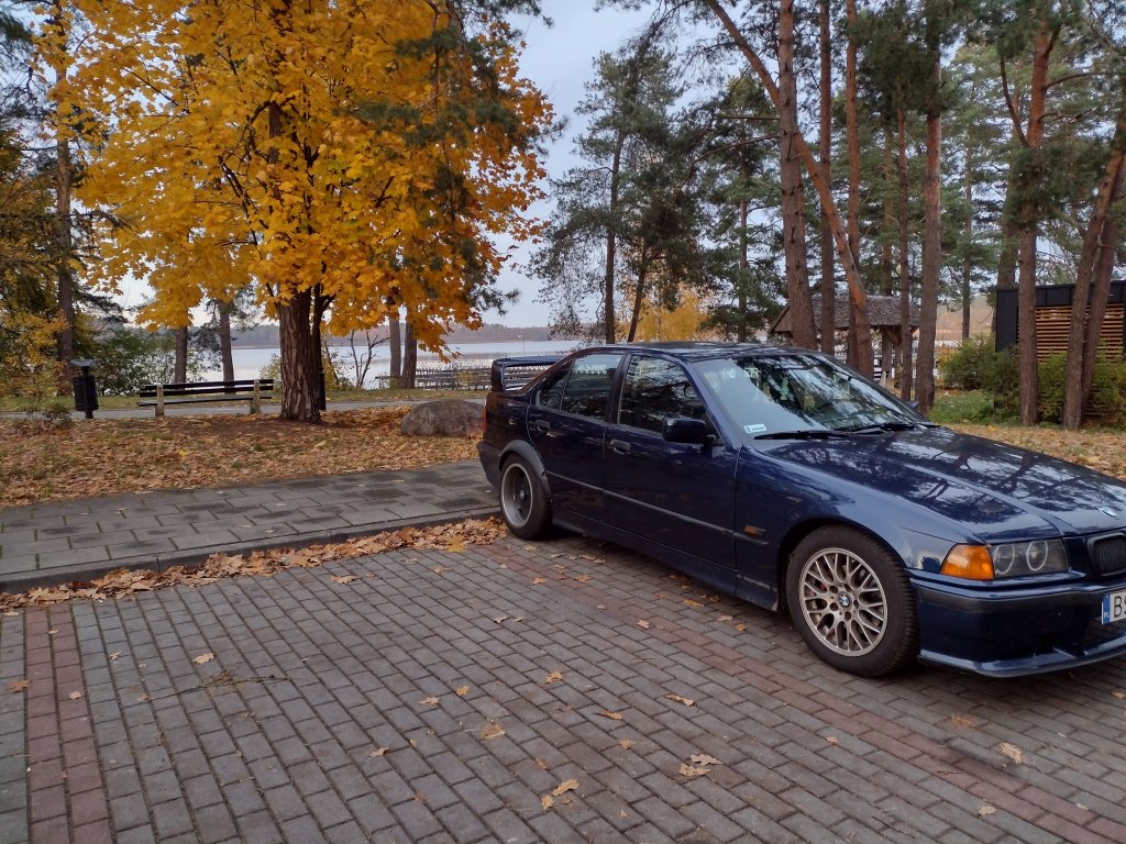 Bb