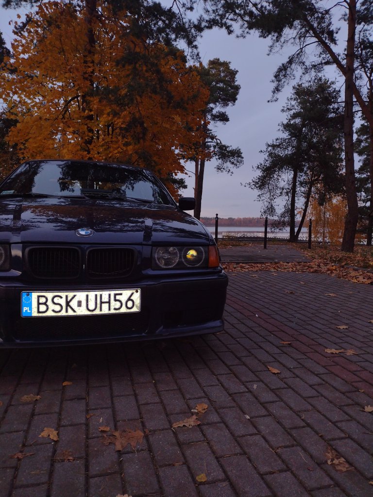 Bb