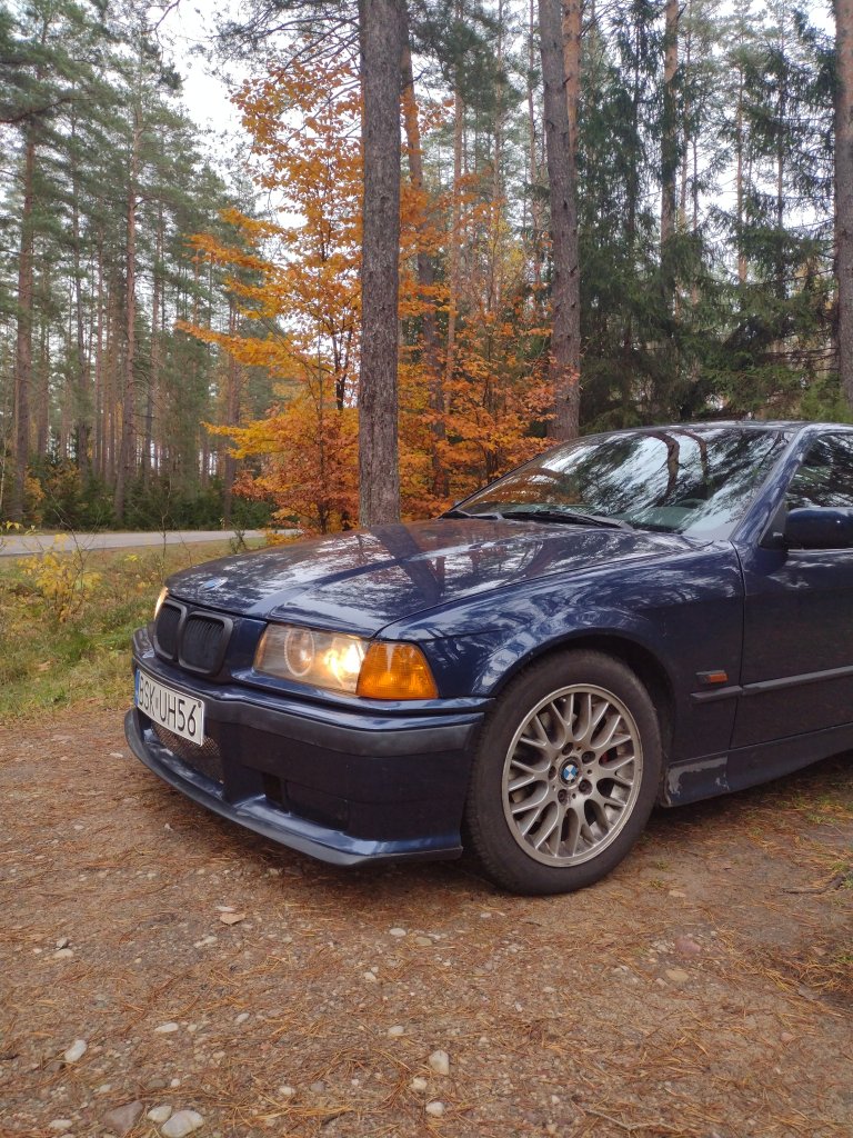 Bb
