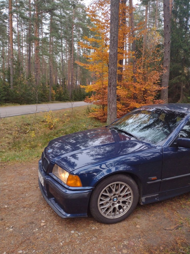 Bb