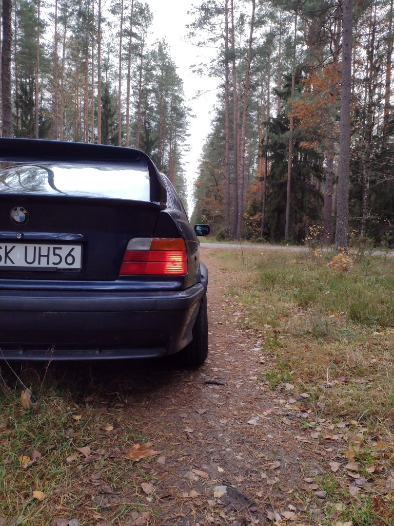 Bb