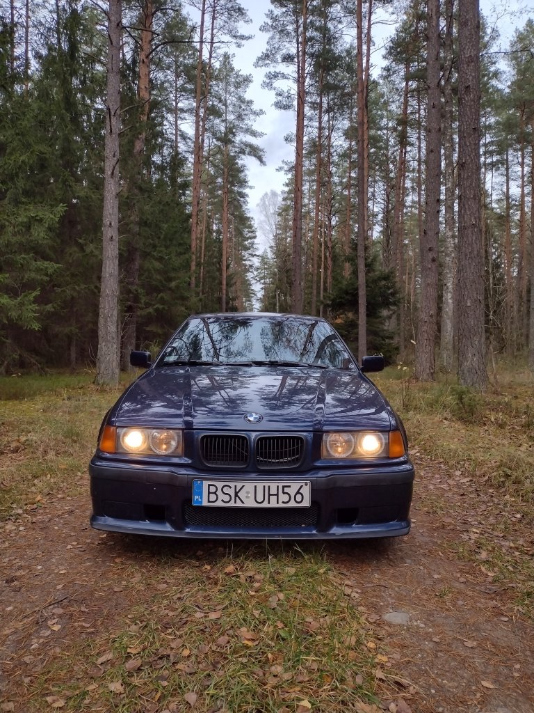 Bb