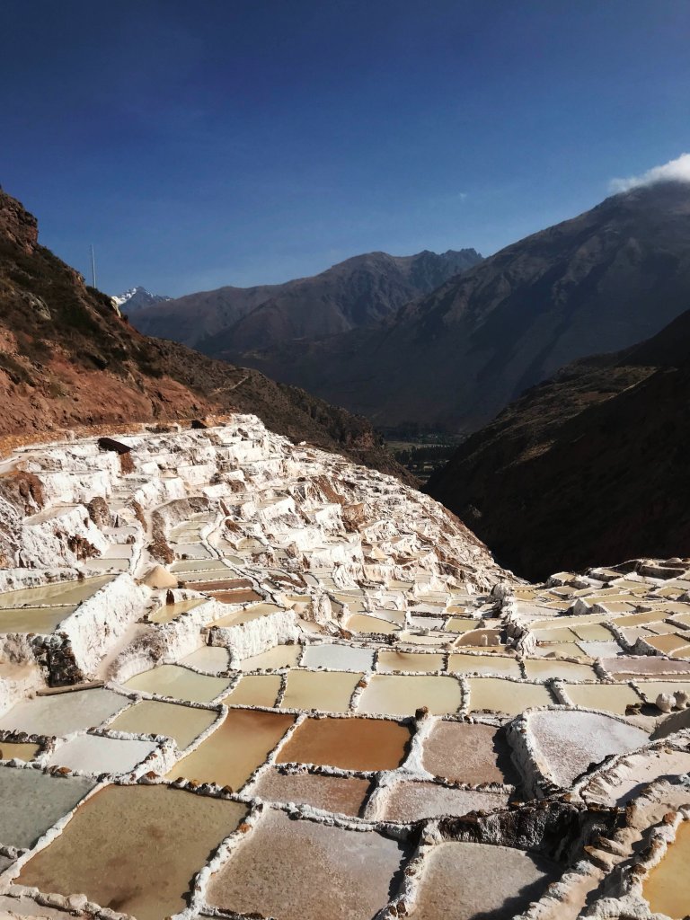 Maras