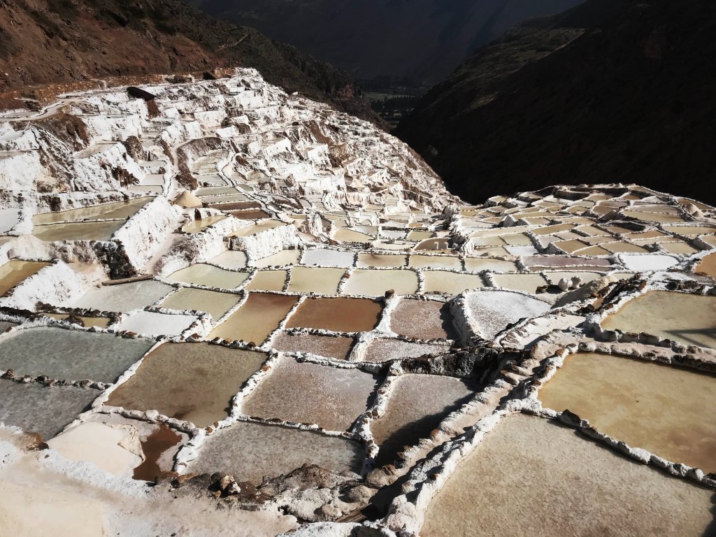 Maras