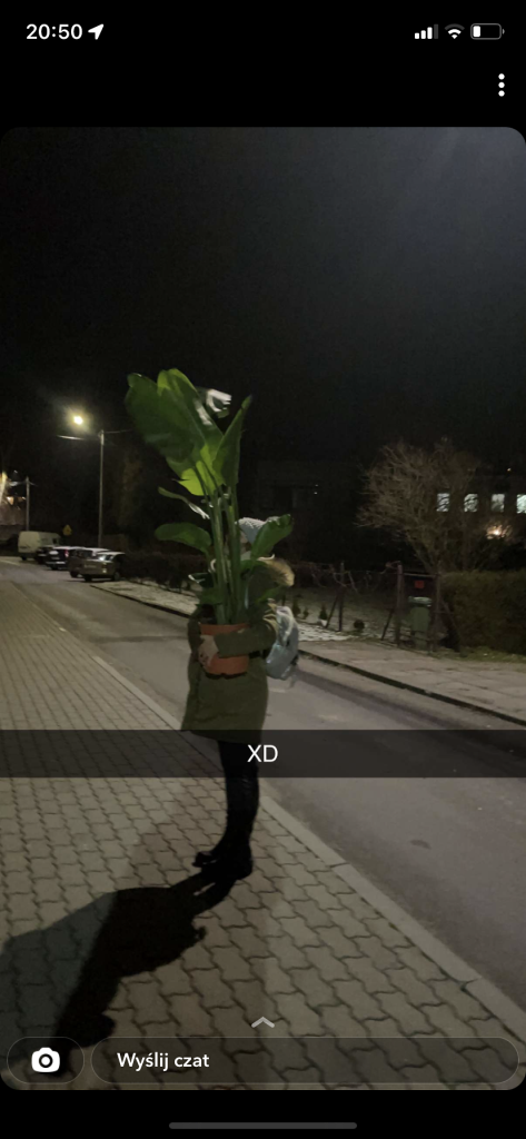 dostaam bananowca 