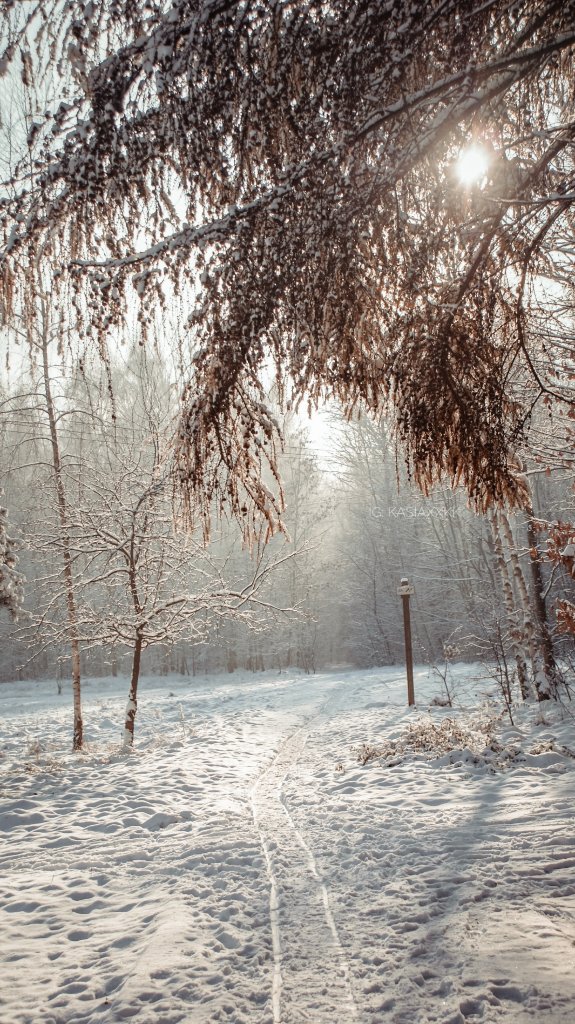 Winter time.
