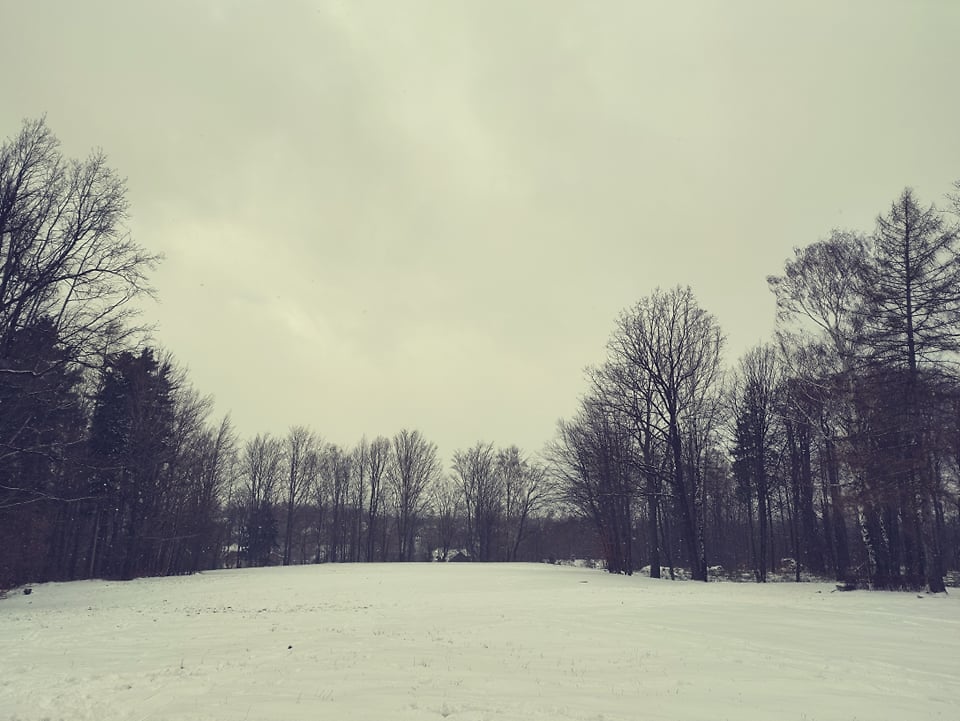 1164.