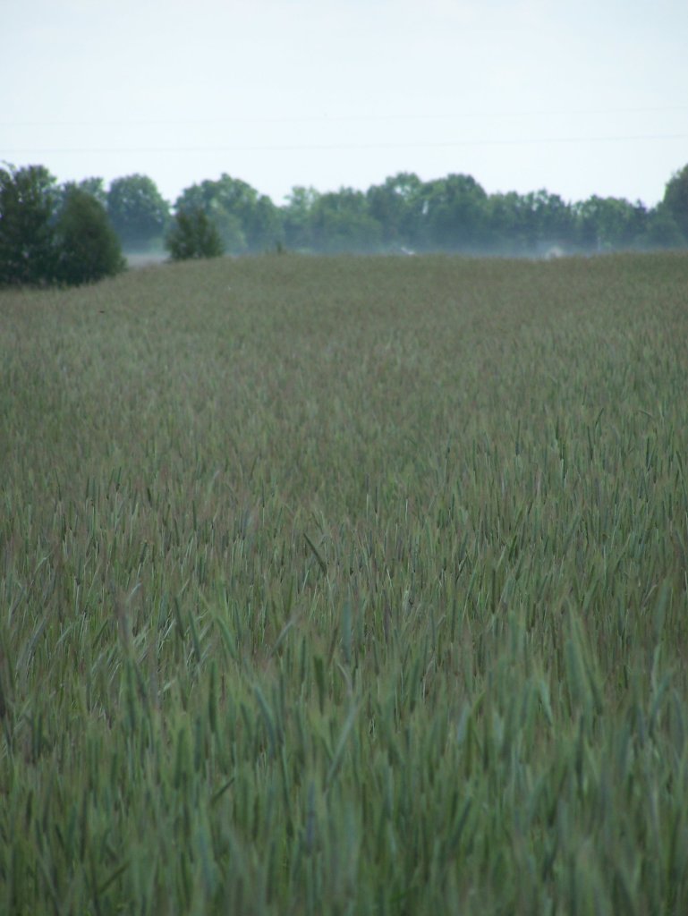220