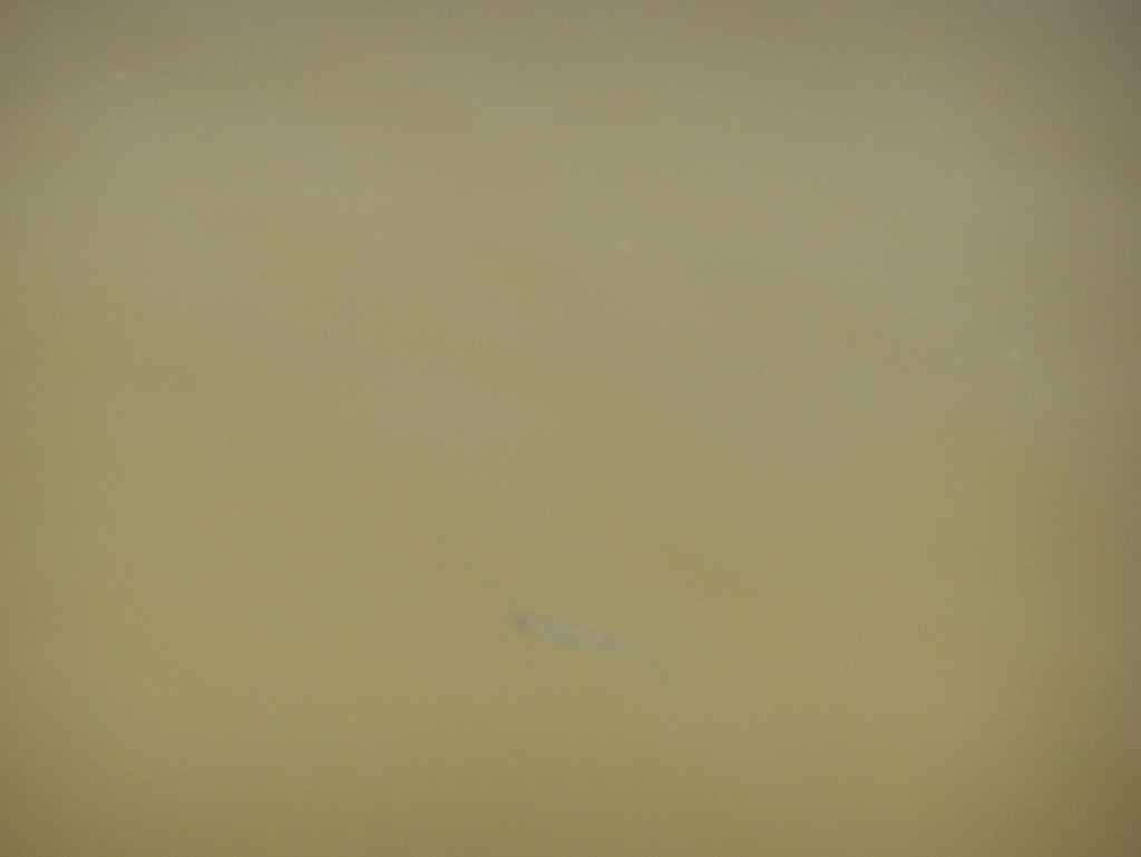 224