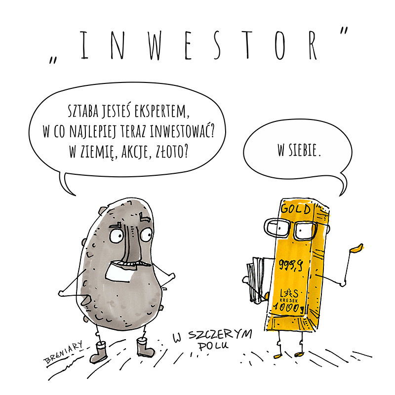 Inwestor