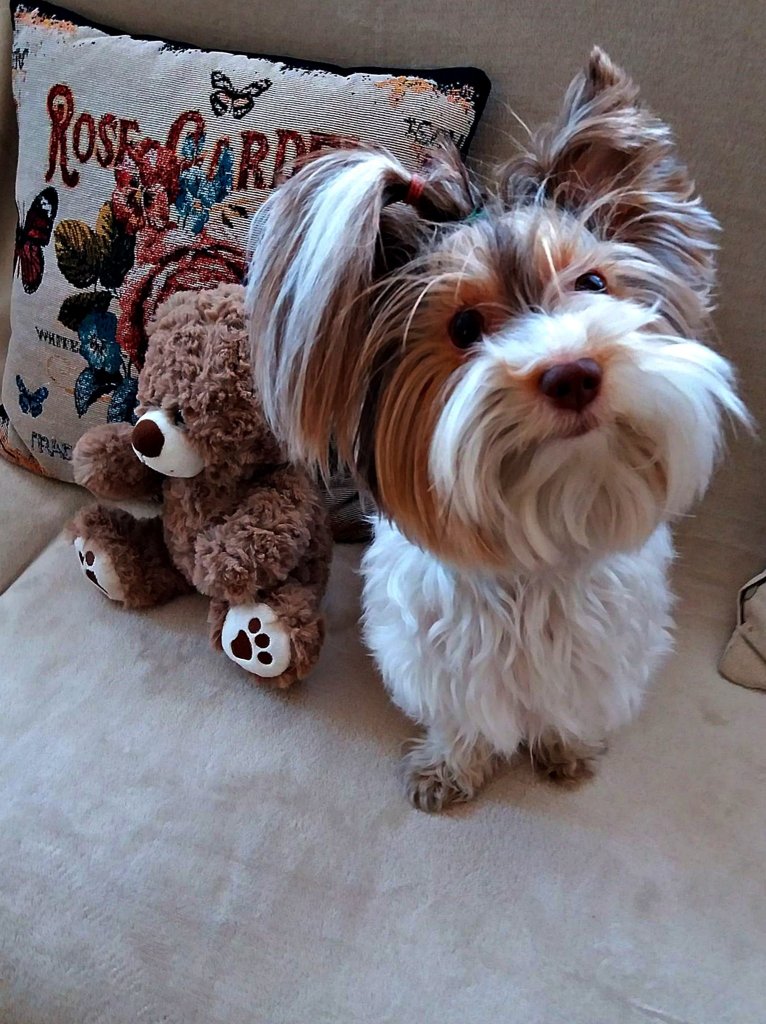 Tosia jedna z moich pupilek.