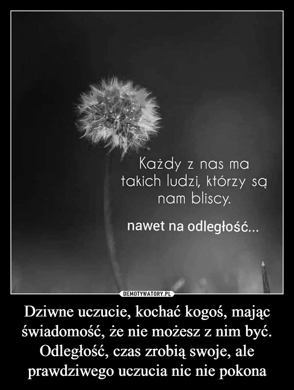Bezradno to udrka dla duszy..