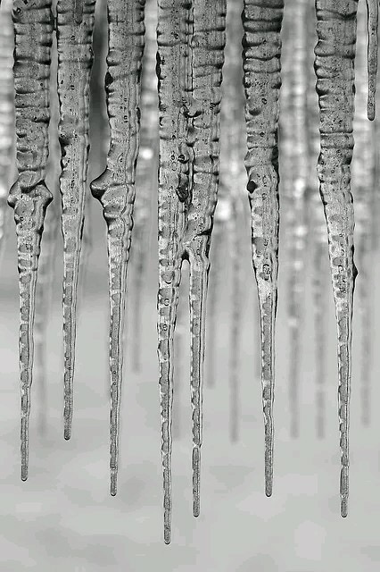 41.