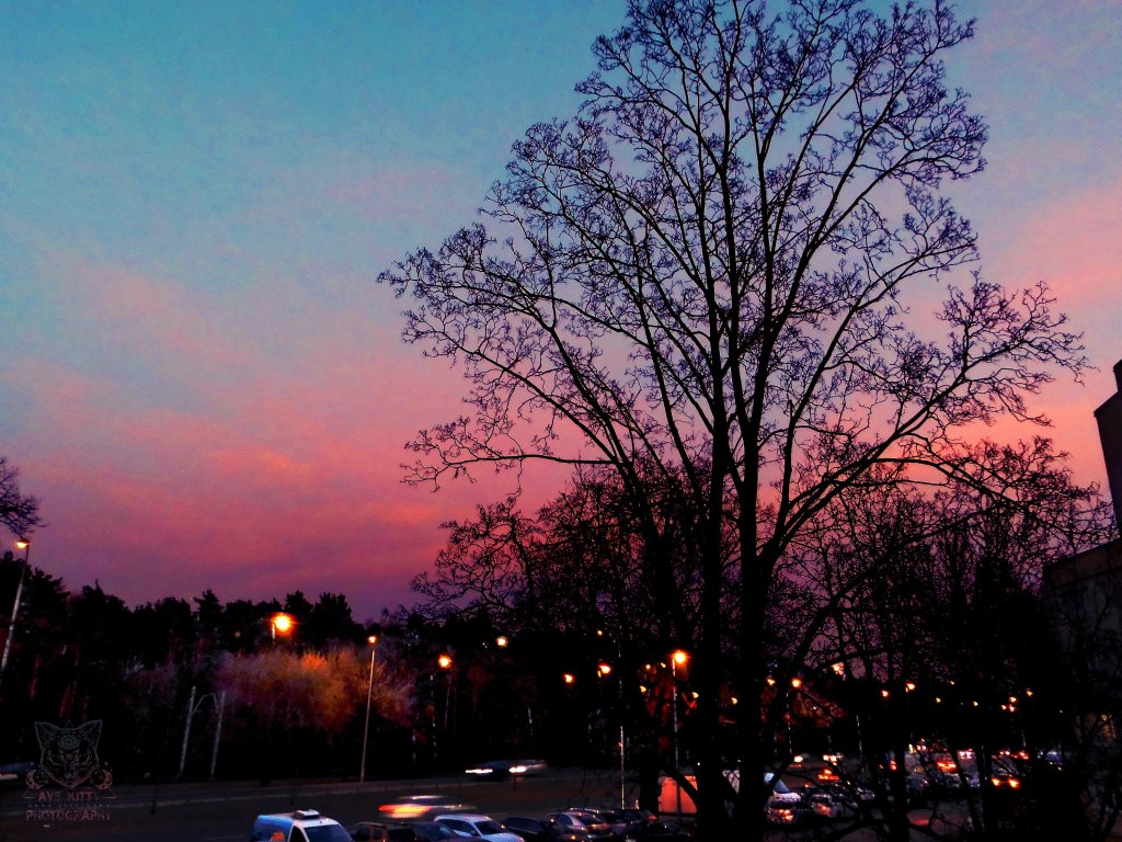 SUNDAY COLORS OF THE SKY
