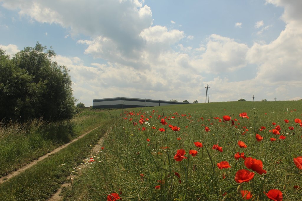 Tczew