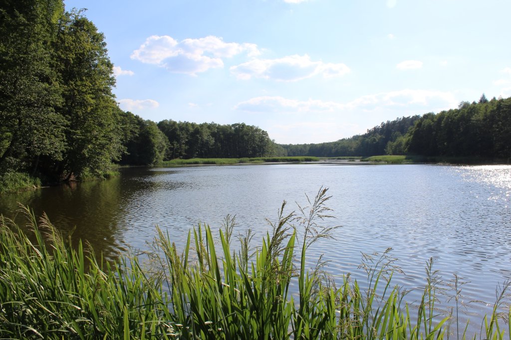 Mynki - jezioro